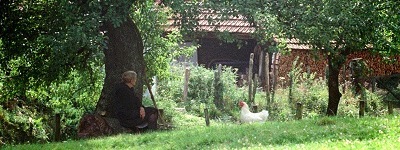 Capture d'écran du film "Le cousin Jules" montrant une vieille femme assise sous un arbre avec des poules