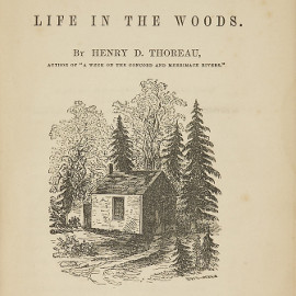 Détail de la couverture de la première édition (1854)
